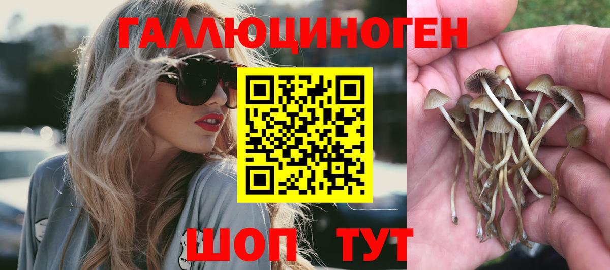 Псилоцибиновые грибы мухоморы  Вход с VPN  Дербент 